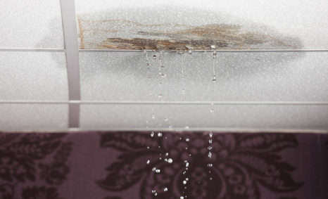 Plumber Dingley Village